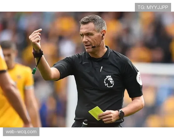 独家专访裁判丹尼尔·施拉格：谈VAR使用心得与执法压力